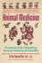 Animal Medicine: a Curanderismo Guide to Shapeshifting, Journeying, and Connecting With Animal Allies