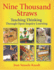 Nine Thousand Straws: Teaching Thinking Through Open-Inquiry Learning