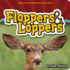 Floppers & Loppers (Adventure Boardbook Series)