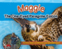 Maggie the One-Eyed Peregrine Falcon: a True Story of Rescue and Rehabilitation (Wildlife Rescue Stories)