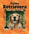 Golden Retrievers