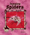Jumping Spiders