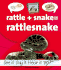 Rattle+Snake=Rattlesnake (Compound Words)