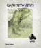 Carnotaurus (Dinosaurs Set 3)