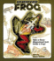 Uncover a Frog (Uncover Books)