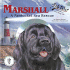 Marshall: a Nantucket Sea Rescue