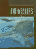 Ichthyosaurs (Exploring Dinosaurs & Prehistoric Creatures)
