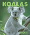 Koalas (New Naturebooks, 1264)