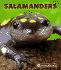 Salamanders (New Naturebooks, 1264)