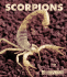 Scorpions (New Naturebooks)