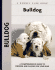 Bulldog