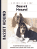 Basset Hound: a Comprehensive Guide to Owning and Caring for Your Dog (Comprehensive Owner's Guide)