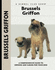 Brussels Griffon (Comprehensive Owners Guide)