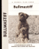 Bullmastiff (Comprehensive Owner's Guide)