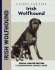 Irish Wolfhound (Comprehensive Owner's Guide)