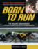 The Born to Run: Racing Greyhound, From Competitor to Companion (Companionhouse Books)