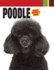 Poodle [With 2 Dvds]