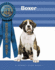 Boxer (Breeders' Best: a Kennel Club Book)