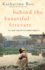 Behind the Beautiful Forevers