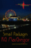 Small Packages (Shaken Series)