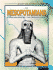 The Mesopotamians