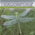 Dragonflies (Insects Discovery Library)
