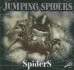 Jumping Spiders