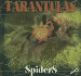 Tarantulas