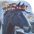 Horses! [With Cd] (Know-It-Alls)