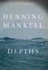 Depths: a Novel