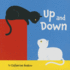 Up and Down