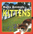 Kittens (Baby Animals)