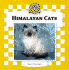 Himalayan Cats