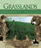 Grasslands (Habitats)