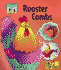 Rooster Combs