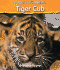 Tiger Cub (I Love Reading (Hardcover))