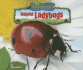 Helpful Ladybugs-Non-Fiction Reading for Grade 2, Developmental Learning for Young Readers-No Backbone! the World of Invertebrates (No Backbone! Insects)