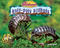 Roly-Poly Pillbugs