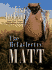 The McCafferty's: Matt