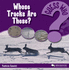 Whose Tracks Are These?