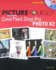 Picture Yourself Learning Corel Paint Shop Pro X2 Koers, Diane