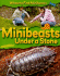 Minibeasts Under a Stone (Where to Find Minibeasts)