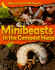 Minibeasts in the Compost Heap (Where to Find Minibeasts)