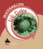 Watermelon (Life Cycles)