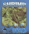 Shrimp (Underwater World)