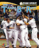 Tampa Bay Rays, the (Team Spirit)