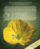 Conversations With a Moonflower