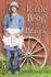 Little Blog on the Prairie