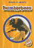 Bumblebees (Blastoff! Readers: World of Insects) (Blastoff Readers. Level 2)