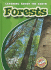 Forests